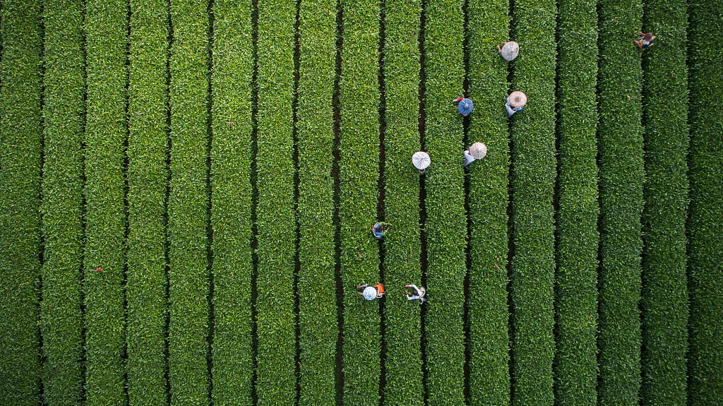 從聶市鎮(zhèn)開始，征服世界！